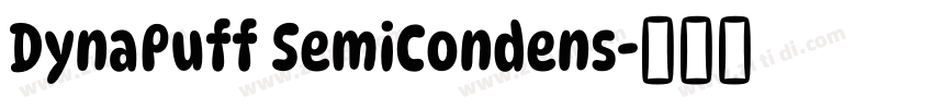 DynaPuff SemiCondens字体转换
